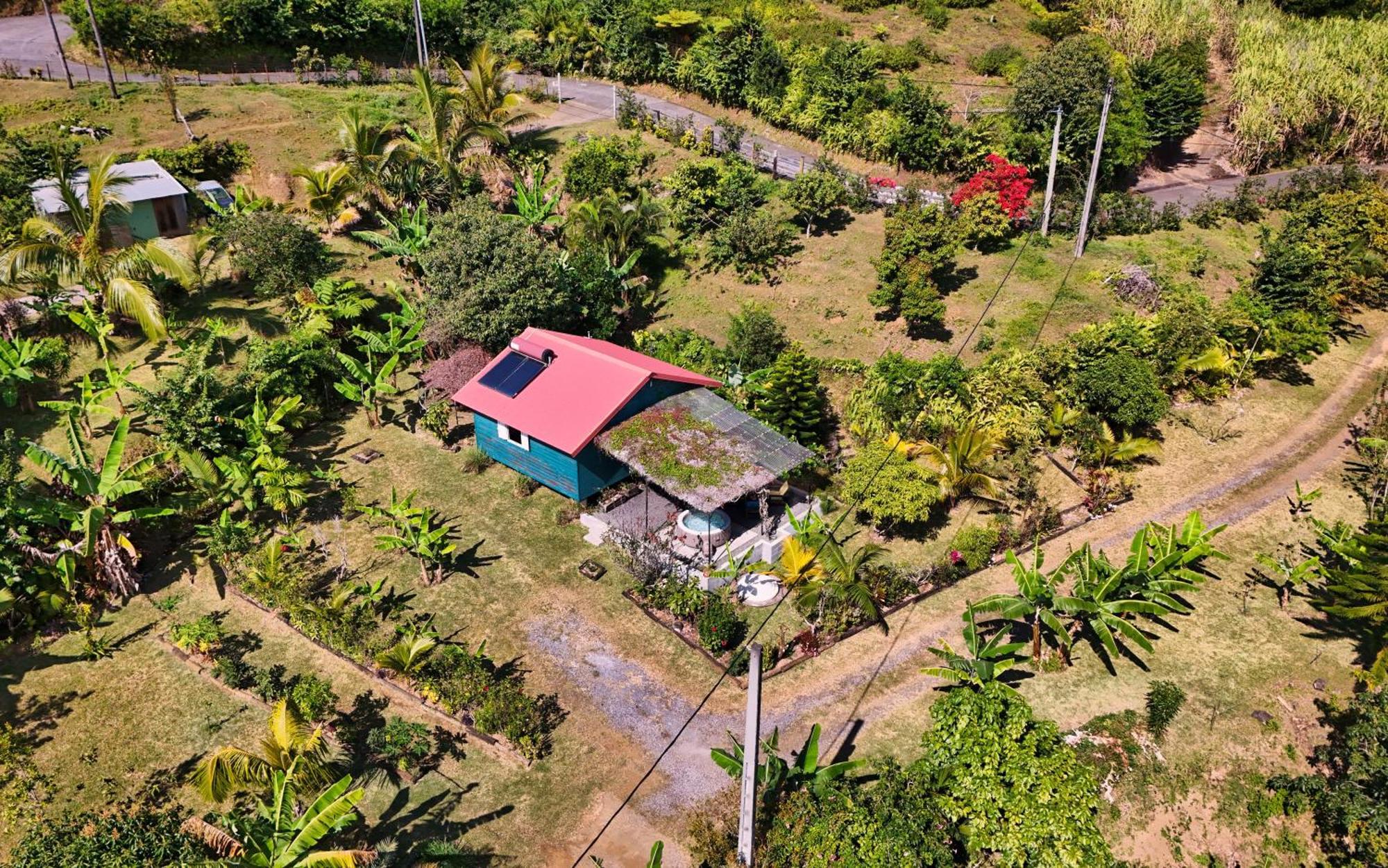 Villa le jardin créole à Bras-Panon Extérieur photo